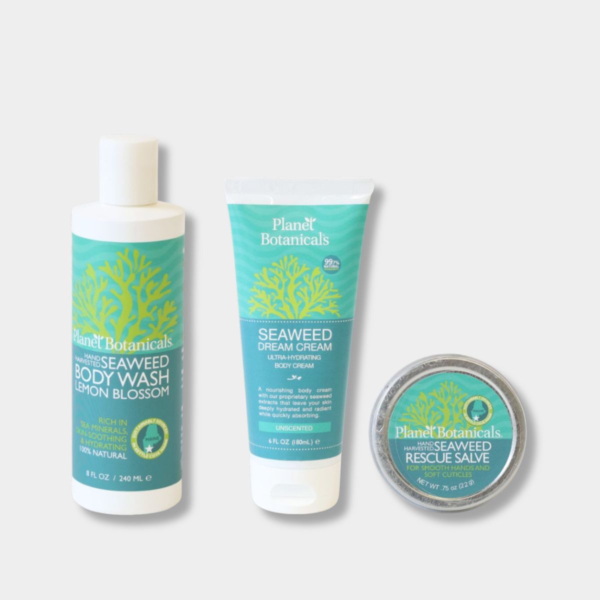 Seaweed Bathing Bundle