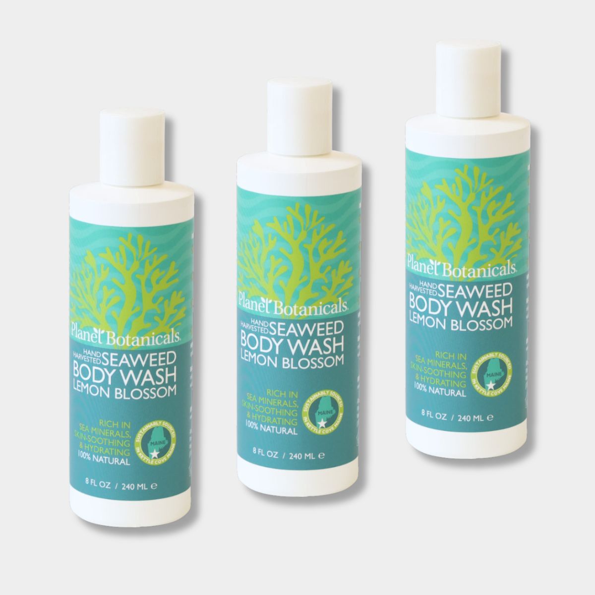 Seaweed Body Wash Bundle