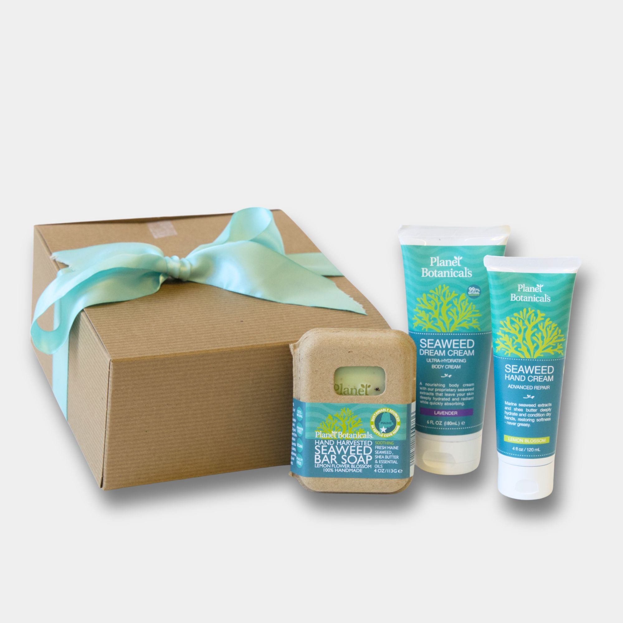 Seaweed Skin Hydrator Gift Set – Planet Botanicals