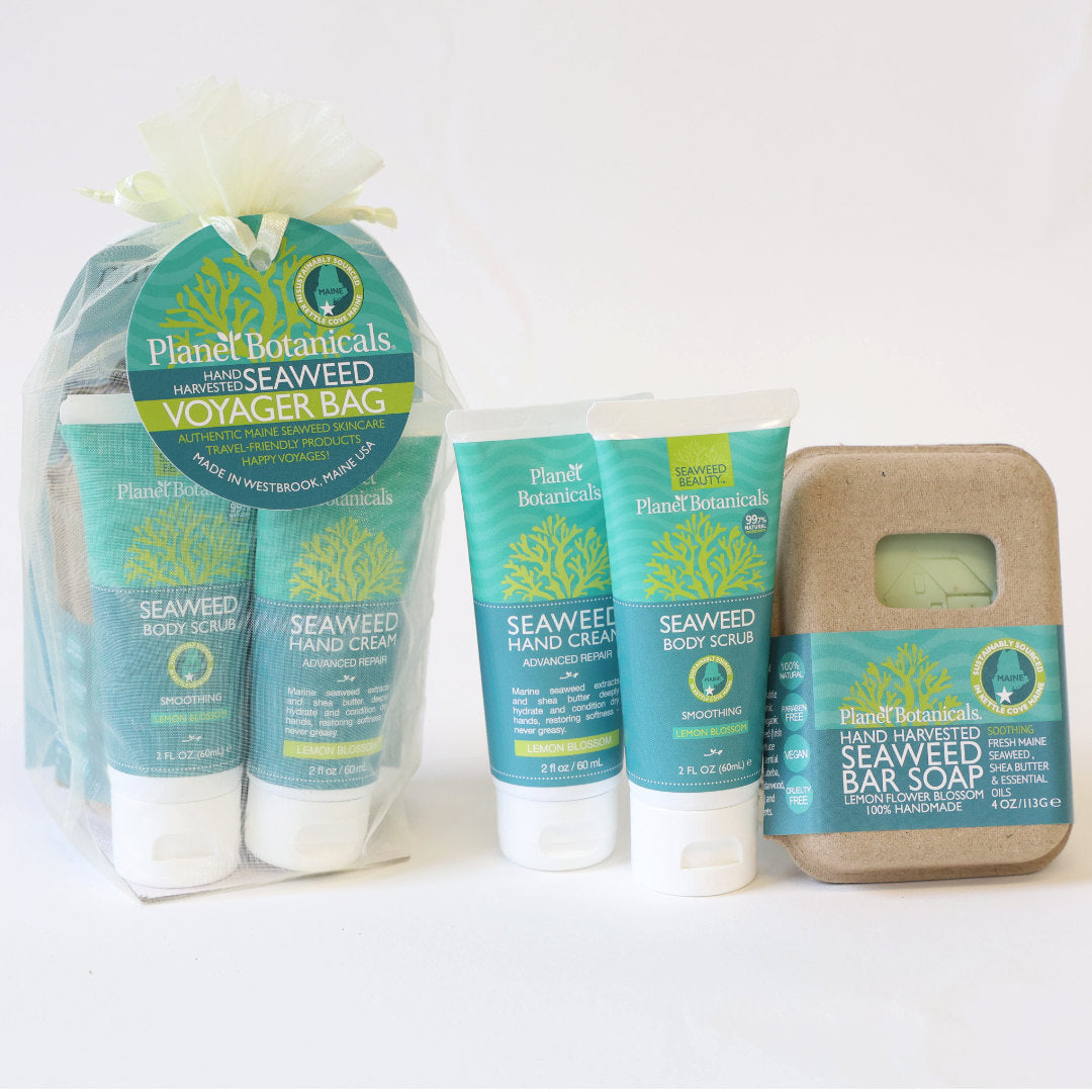 Seaweed Voyager Bag