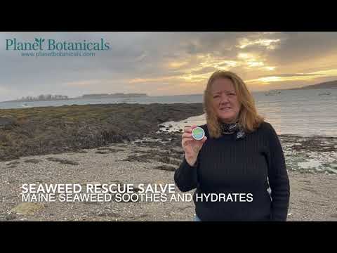 Seaweed Rescue Salve - Refreshing Lemon
