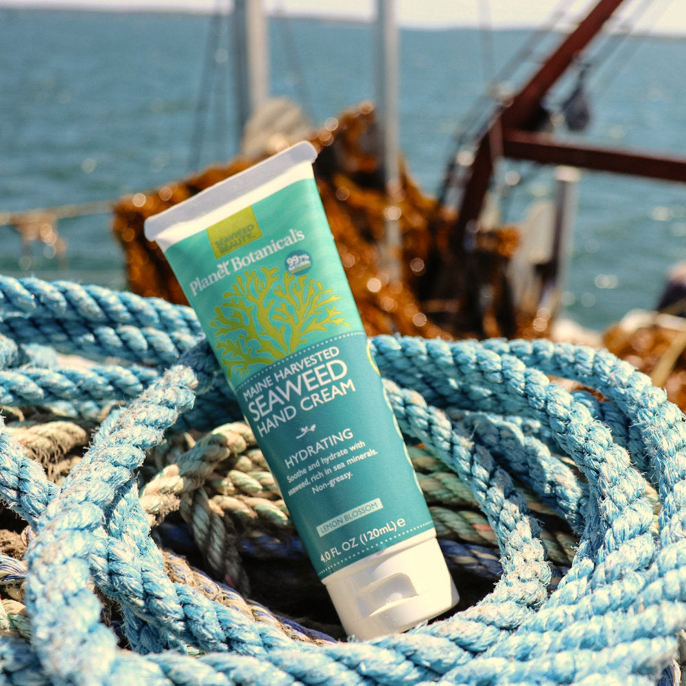 Seaweed Hand Cream - Refreshing Lemon – Planet Botanicals