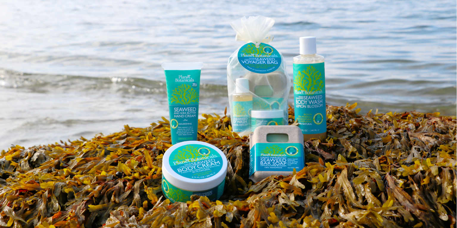 Seaweed Gift Collection