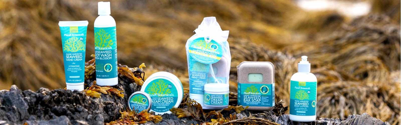 Seaweed Collection