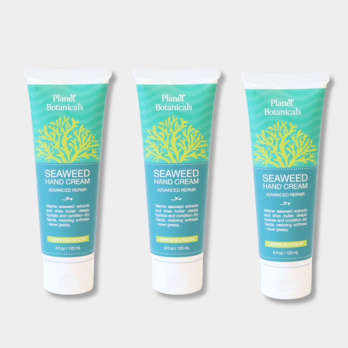Seaweed Hand Cream - Lemon - Bundle