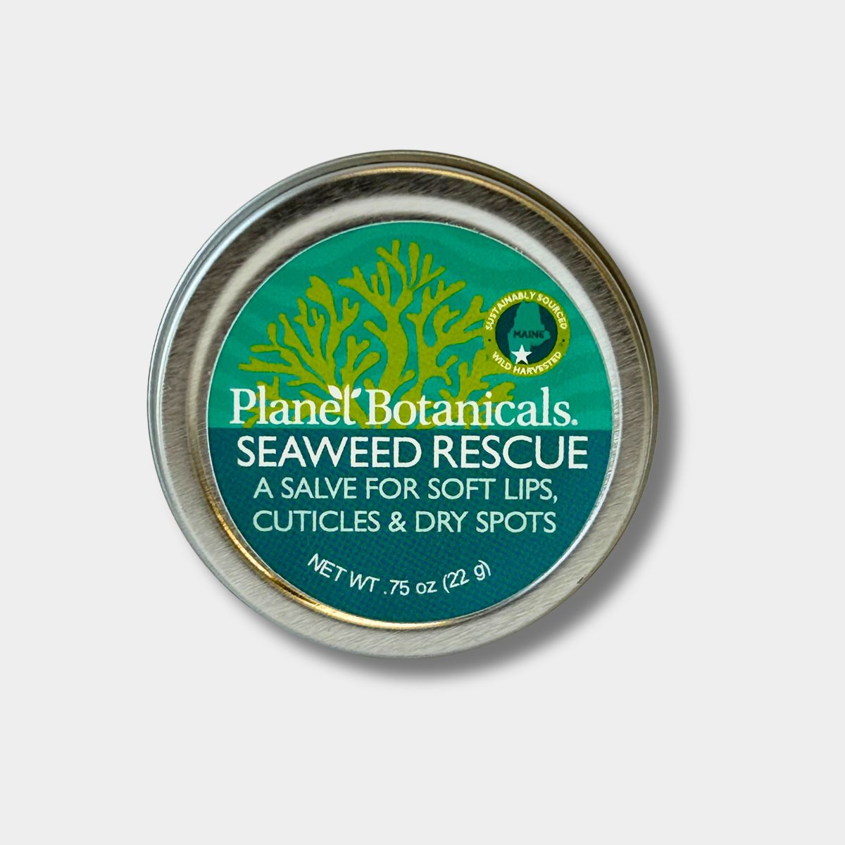 Seaweed Rescue Salve - Refreshing Lemon