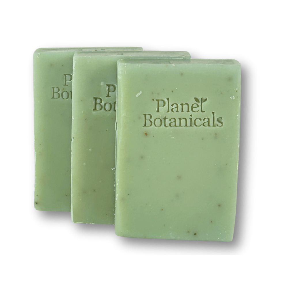 Unscented Seaweed Hand Made Bar Soap - 3 Pack - LIMITED EDITION!