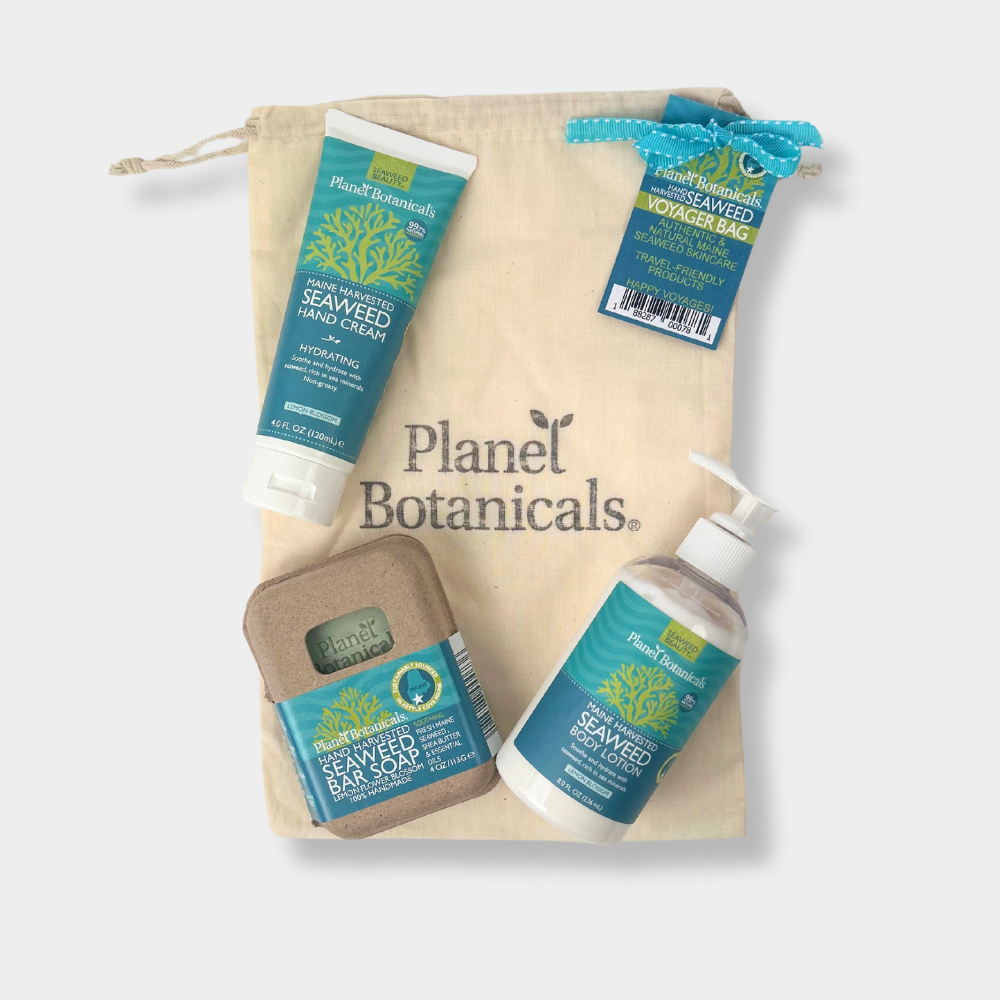 Voyager Gift Bag - Full Sized