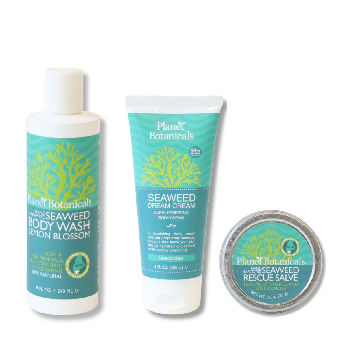 Seaweed Bathing Bundle