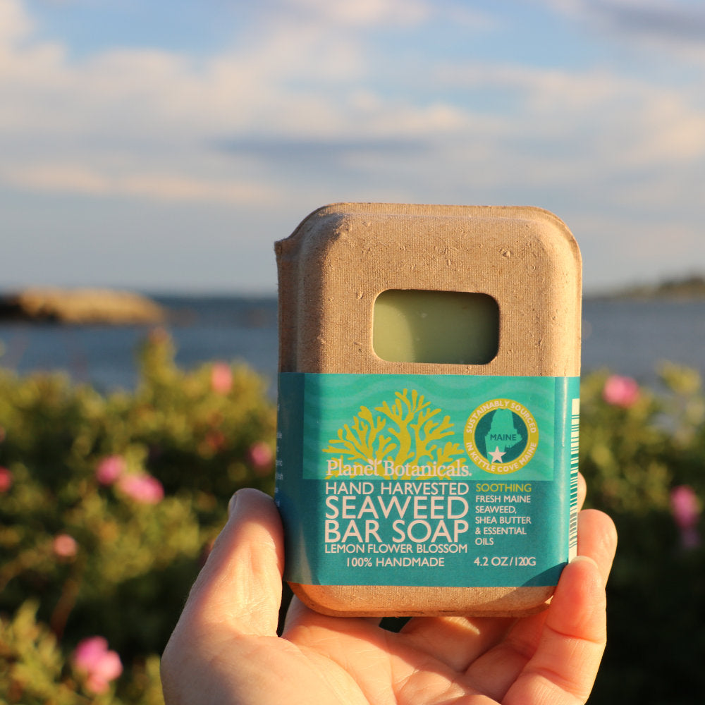 Planet Botanicals Seaweed Skincare Soap All Natural