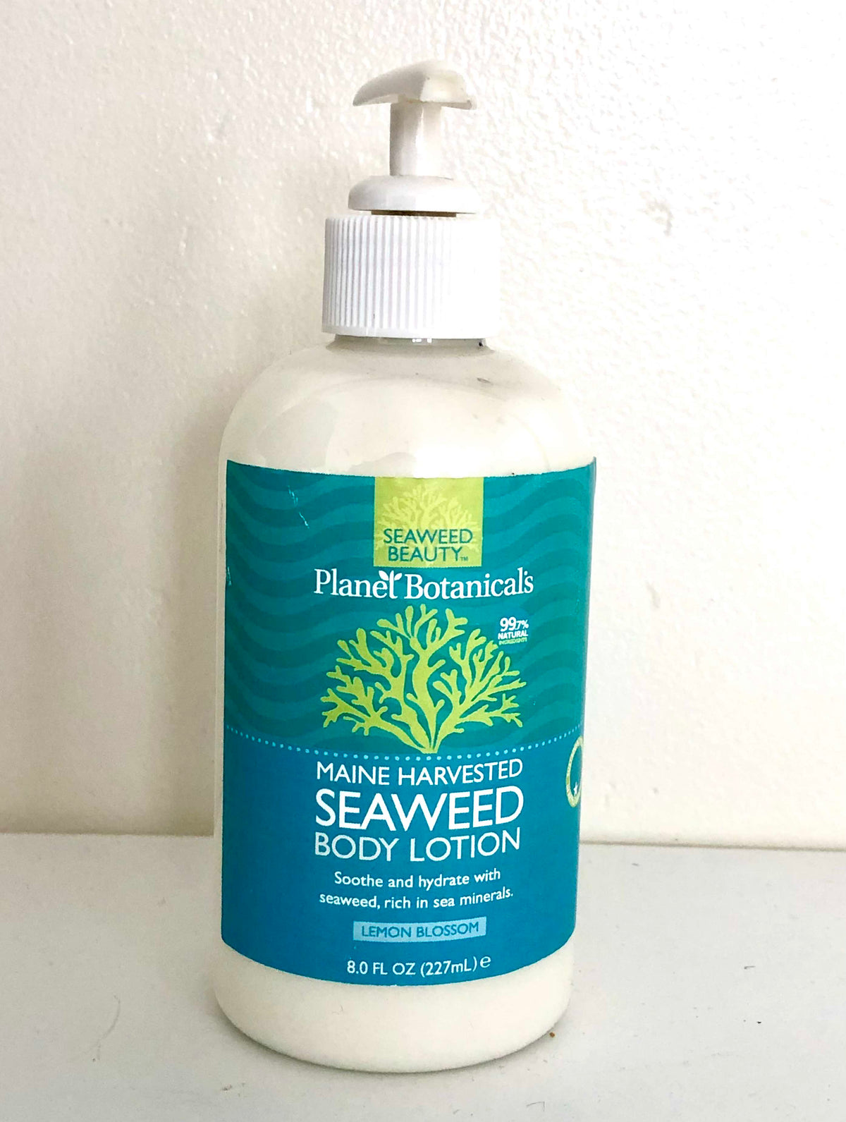 Tester - 8oz Seaweed Body Lotion