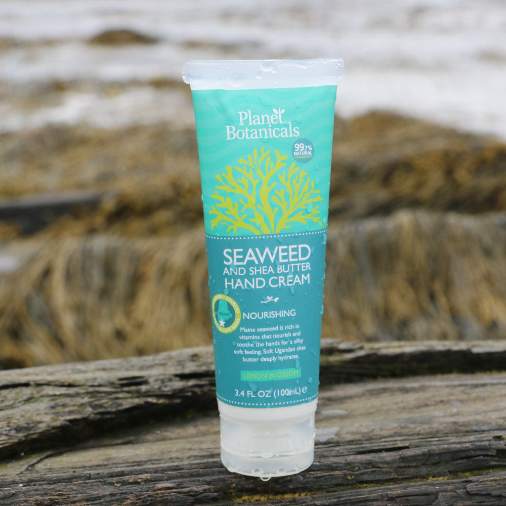 TESTER - Seaweed Hand Cream, 4 oz