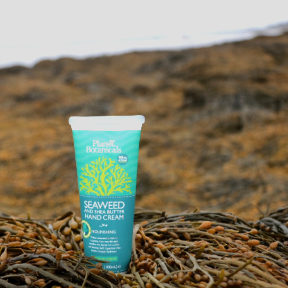 Tester - Seaweed Hand Cream 4 oz