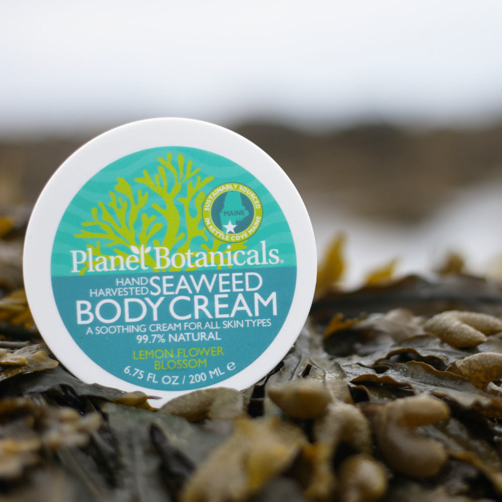 Planet Botanicals Seaweed Skincare Seaweed Body Cream Seaweed Dream Cream All Natural