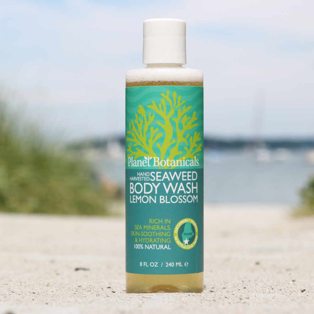 Planet Botanicals Seaweed Skincare Seaweed Body Wash All Natural