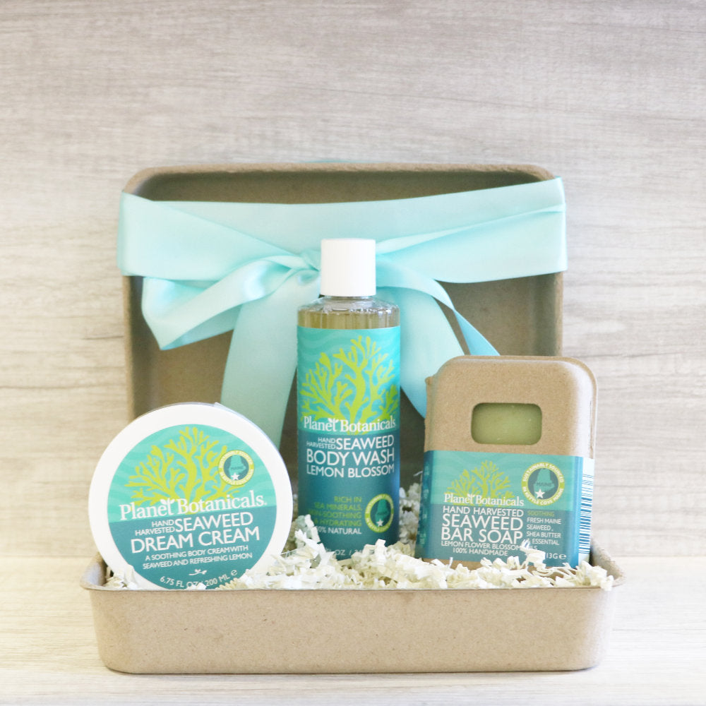 Seaweed Ocean Spa Gift Set