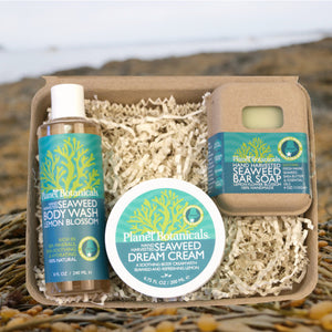 Seaweed Ocean Spa Gift Set