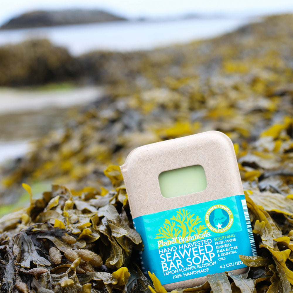 Planet Botanicals Seaweed Skincare Soap All Natural