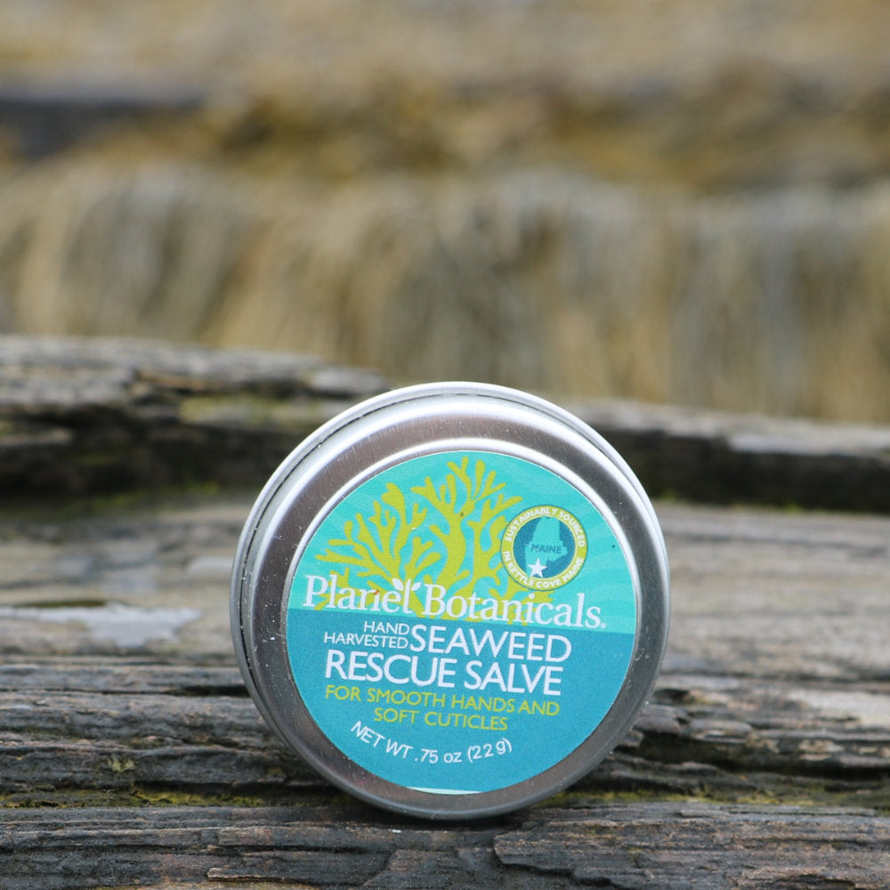 Seaweed Rescue Salve - Refreshing Lemon